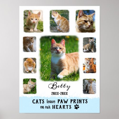 Cat Custom Photo Collage Faded Borders White Blue Poster