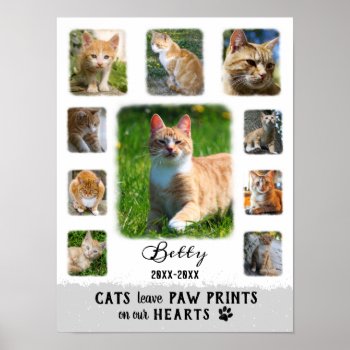 Cat Custom Photo Collage Faded Borders White Gray Poster by PictureCollage at Zazzle