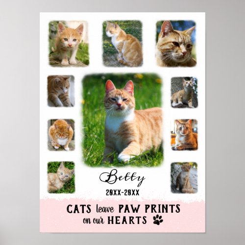 Cat Custom Photo Collage Faded Borders White Pink Poster