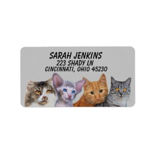  CAT CUTE ROW OF CATS Return Address Labels