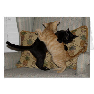 Cat Dance Cards