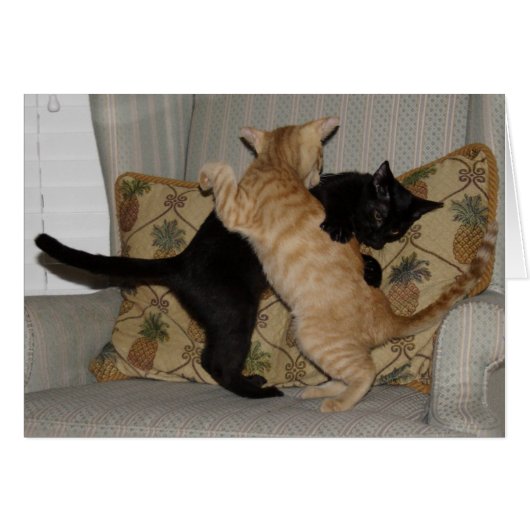 Cat Dance Cards (Front Horizontal)