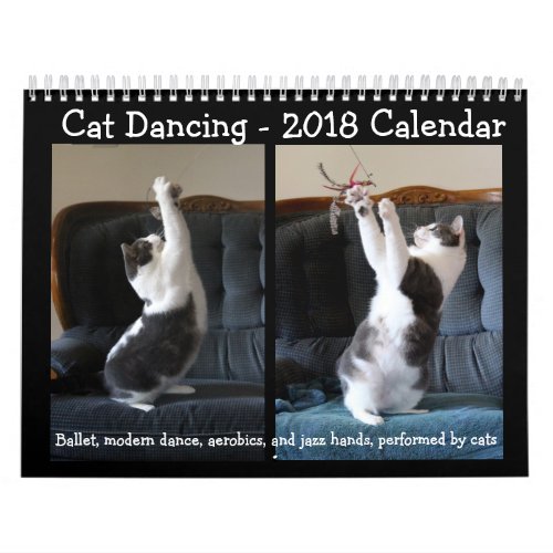 Cat Dancing _ 2018 Calendar