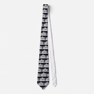 Cat Dark Eyes Tie