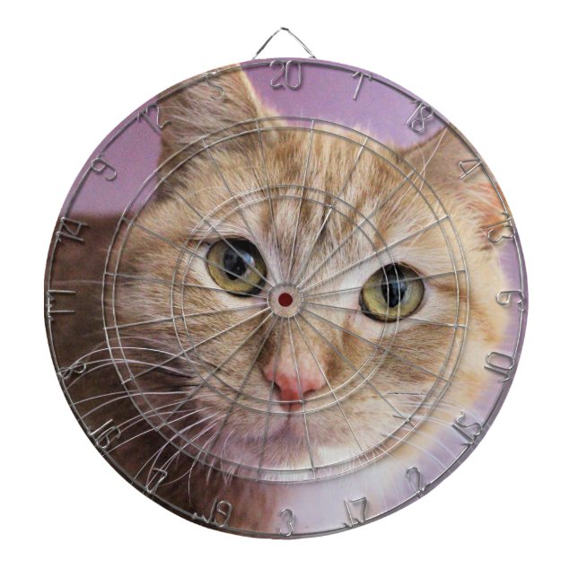 Cat Dart Board (Front)