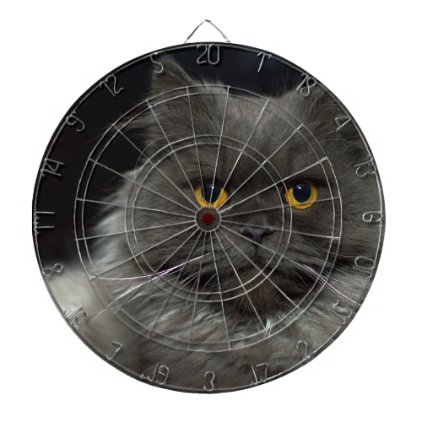 cat dart board