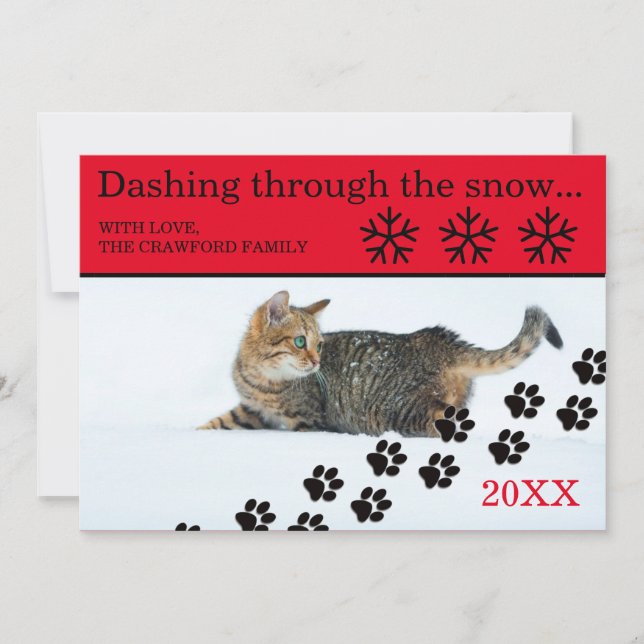 Cat Dashing Through the Snow - 3x5 Christmas Card (Front)