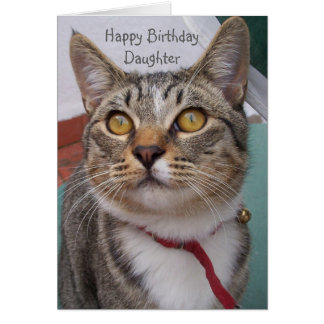 Cat Daughter Birthday Cards - Greeting & Photo Cards | Zazzle