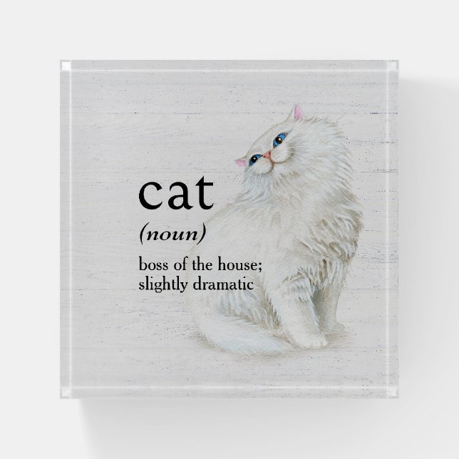 CAT Definition On Whitewashed Wood Paperweight (Front)