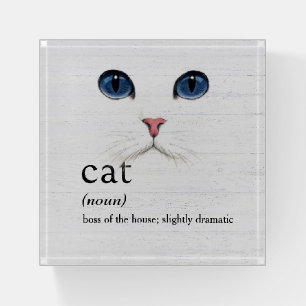 CAT Definition On Whitewashed Wood Paperweight