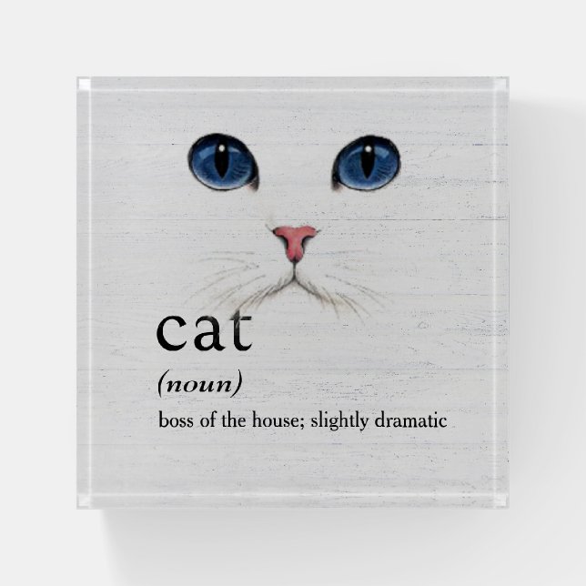 CAT Definition On Whitewashed Wood Paperweight (Front)