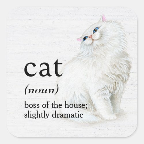CAT Definition On Whitewashed Wood Square Sticker