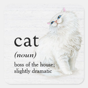 CAT Definition On Whitewashed Wood Square Sticker