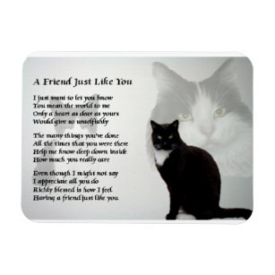 Cat Design friend Poem Magnet