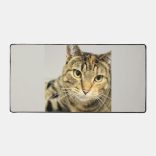 Cat Desk Mat