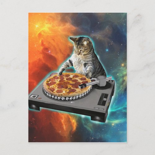 Cat dj disc jockeys sound table postcard