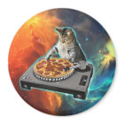 Cat dj with disc jockey's sound table