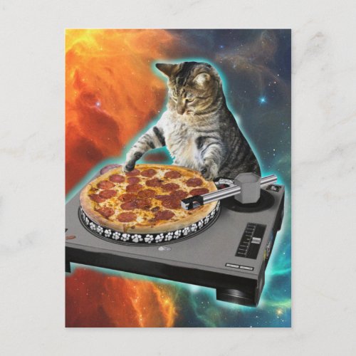 Cat dj with disc jockeys sound table postcard