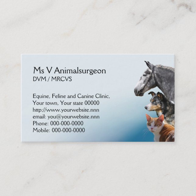 Cat, dog and horse vet appointment card (Front)