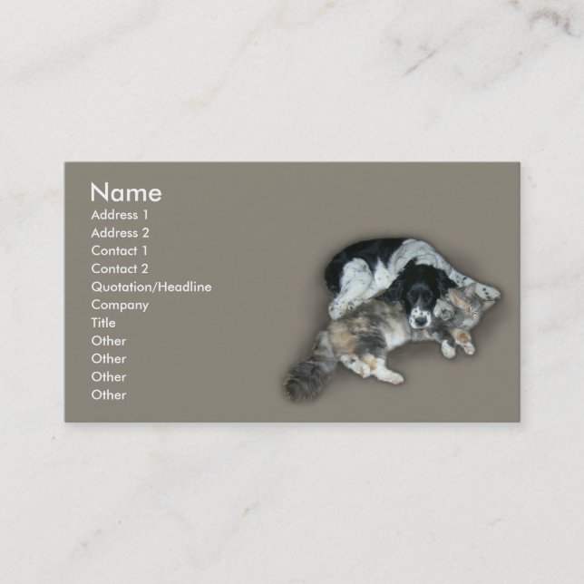 Cat & Dog Business Card (Front)