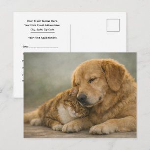 Cat & Dog Cuddling Veterinary Appointment Reminder Postcard