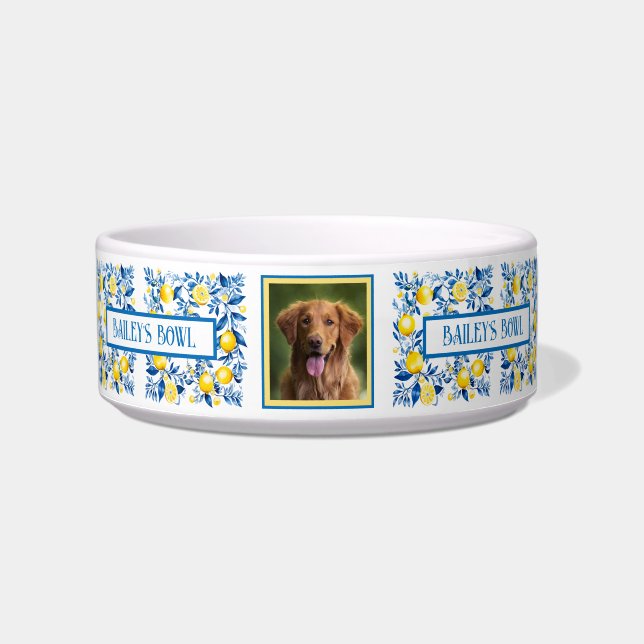 Cat Dog Lovers Mediterranean Style Photo Name    Bowl (Front)