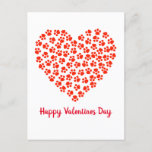 Cat Dog Paw Prints Funny Valentine's Day  Holiday Postcard