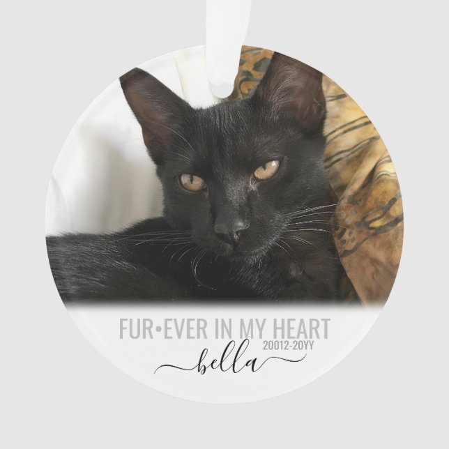Cat Dog Pet Loss Memorial Personalized Ornament (Front)