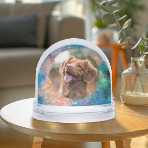 Cat Dog Sympathy For Loss Of Pet Photo Snow Globes Snow Globe