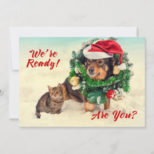 Cat  Dog Two Sided Christmas Card