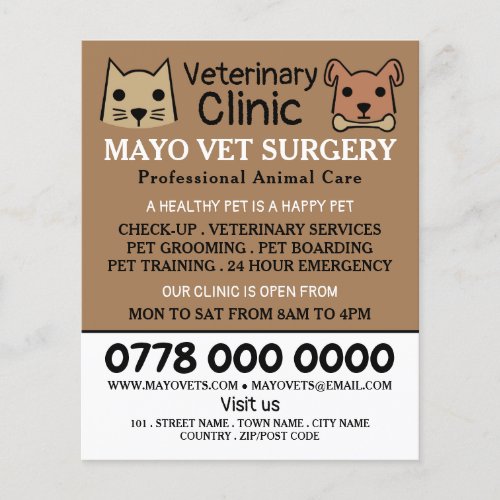 Cat  Dog Veterinarian Veterinary Service Flyer