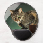 Cat Domestic Short Hair On A Mousepad at Zazzle
