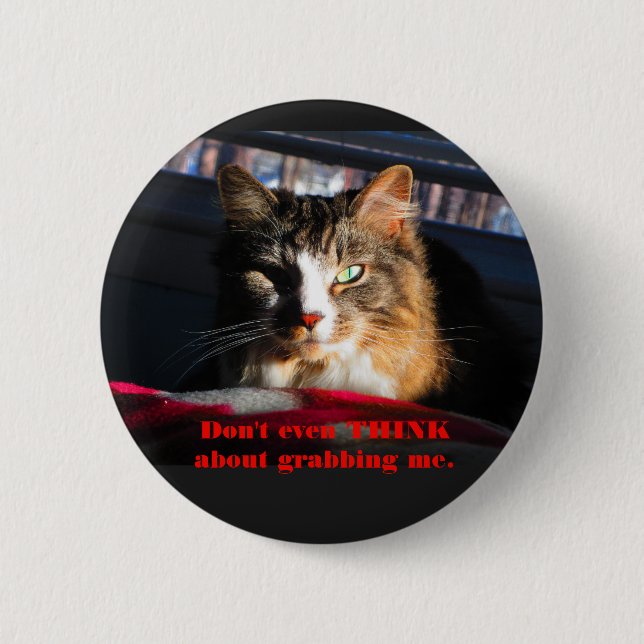Cat Don't even think about grabbing me Button (Front)
