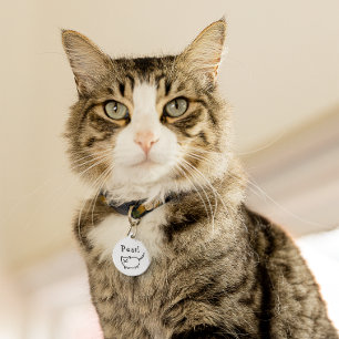Cat Doodle ID Tag