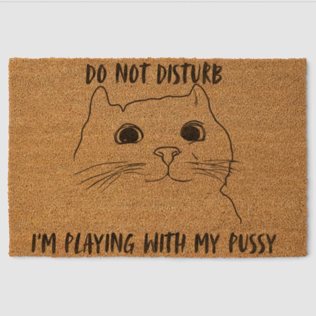 Cat Door Mat ~ Funny Door Mats Outdoor ~ Door Mats (Front)