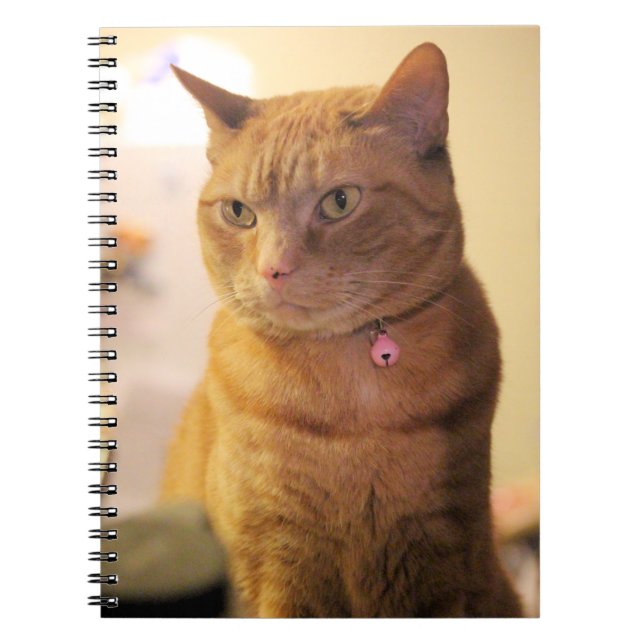 Cat Drawstring Bag Notebook (Front)