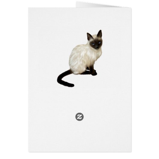 Cat dressed in Red White and Blue Patriotic Hat (Back)