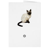 Cat dressed in Red White and Blue Patriotic Hat Cards (Back)