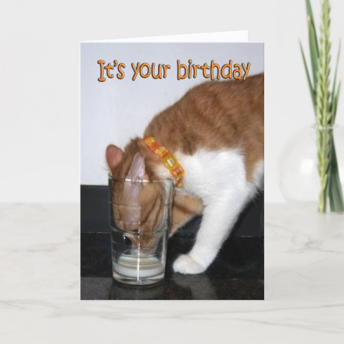 Cat Drinking from Glass Happy Birthday Card
