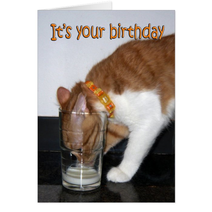 Cat Drinking Glass Happy Birthday Card