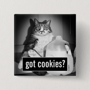 Cat Drinking Milk From Jug Button