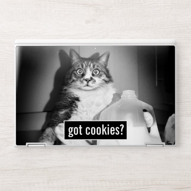 Cat Drinking Milk From Jug HP Laptop Skin (Front)