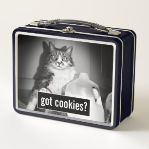 Cat Drinking Milk From Jug Metal Lunch Box