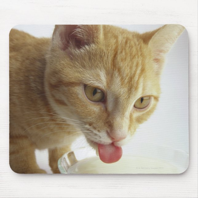 Cat drinking milk mouse pad (Front)