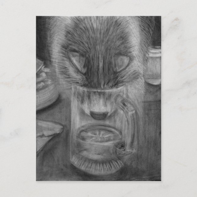 Cat Drinking Water Cute Original Charcoal Drawing Postcard (Front)