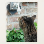 Cat drinking water. planner<br><div class="desc">My cat drinking water out of the garden tap.</div>