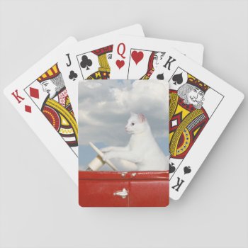 Cat Drives A Car Playing Cards by deemac1 at Zazzle