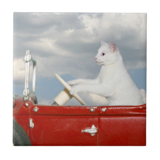 Cat driving a car ceramic tile