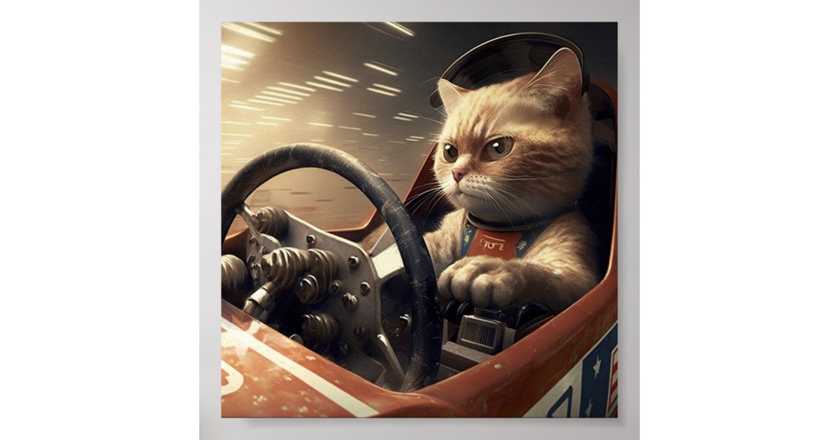 Cat driving racing car poster | Zazzle