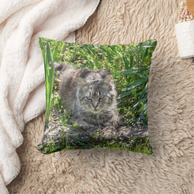 Cat During Eclipse Throw Pillow (Blanket)